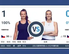 亚博体育平台-从里程碑夜孟菲斯灰熊回应争议到科维托娃关键节点爆冷，今夜夏洛特黄蜂单刀错失的简单介绍